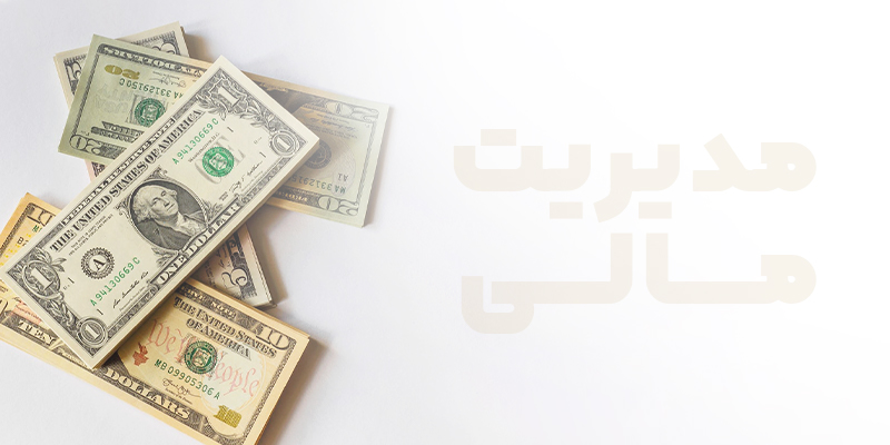 سیستم مدیریت مالی