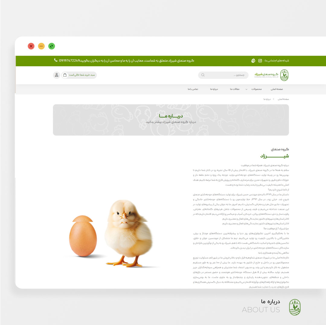 وبسایت گروه صنعتی شیرزاد — تصویر 2
