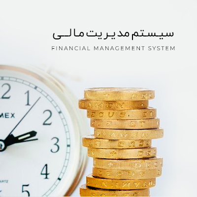 سیستم مدیریت مالی چیست؟ و چه تاثیری بر کسب و کار ها دارد؟